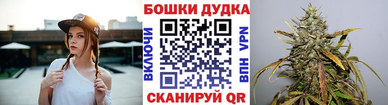 Конопля Кировград