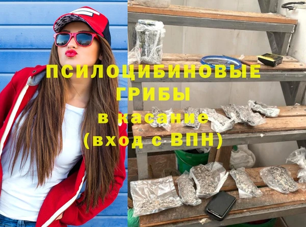 шишки Бугульма