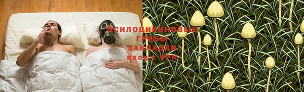 шишки Бугульма