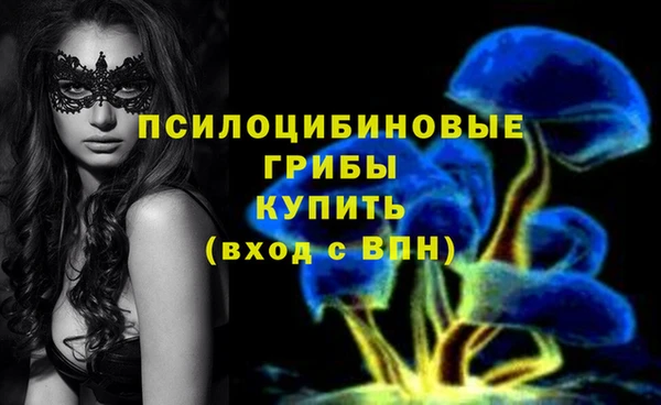 дурь Богданович