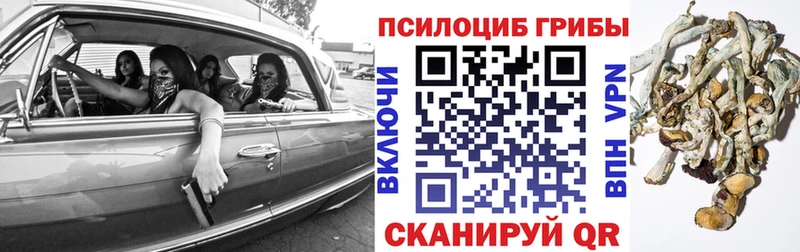 Купить закладки  Кировград  Галлюциногенные грибы GOLDEN TEACHER 